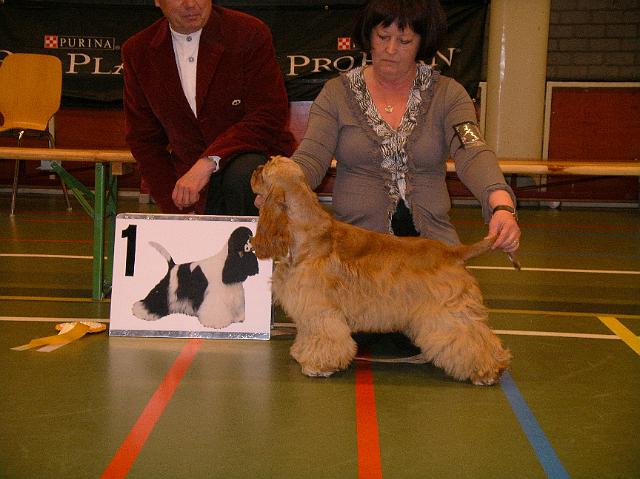ACSN 2010 PK-T 1VB.JPG